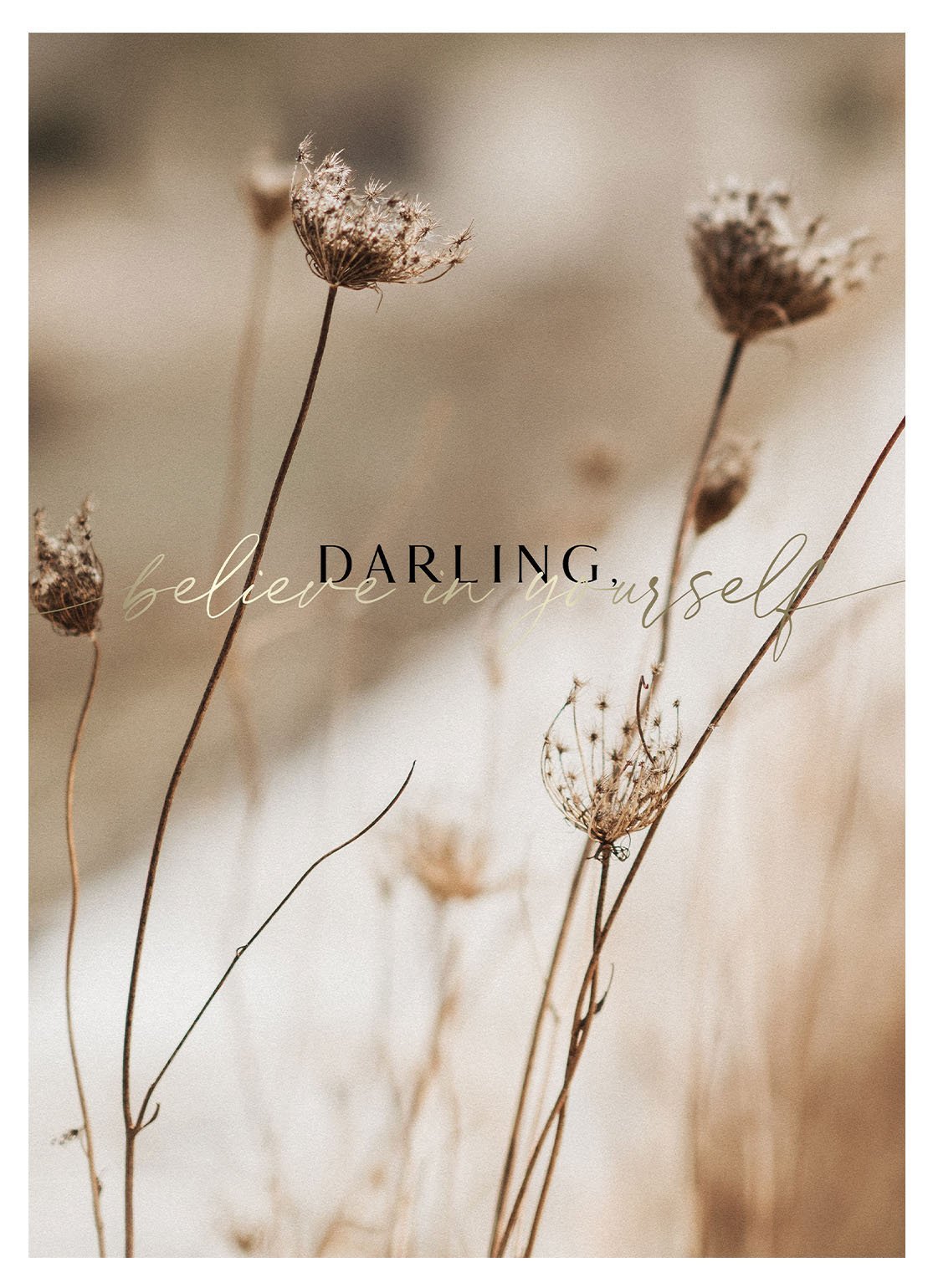 Darling - Avem