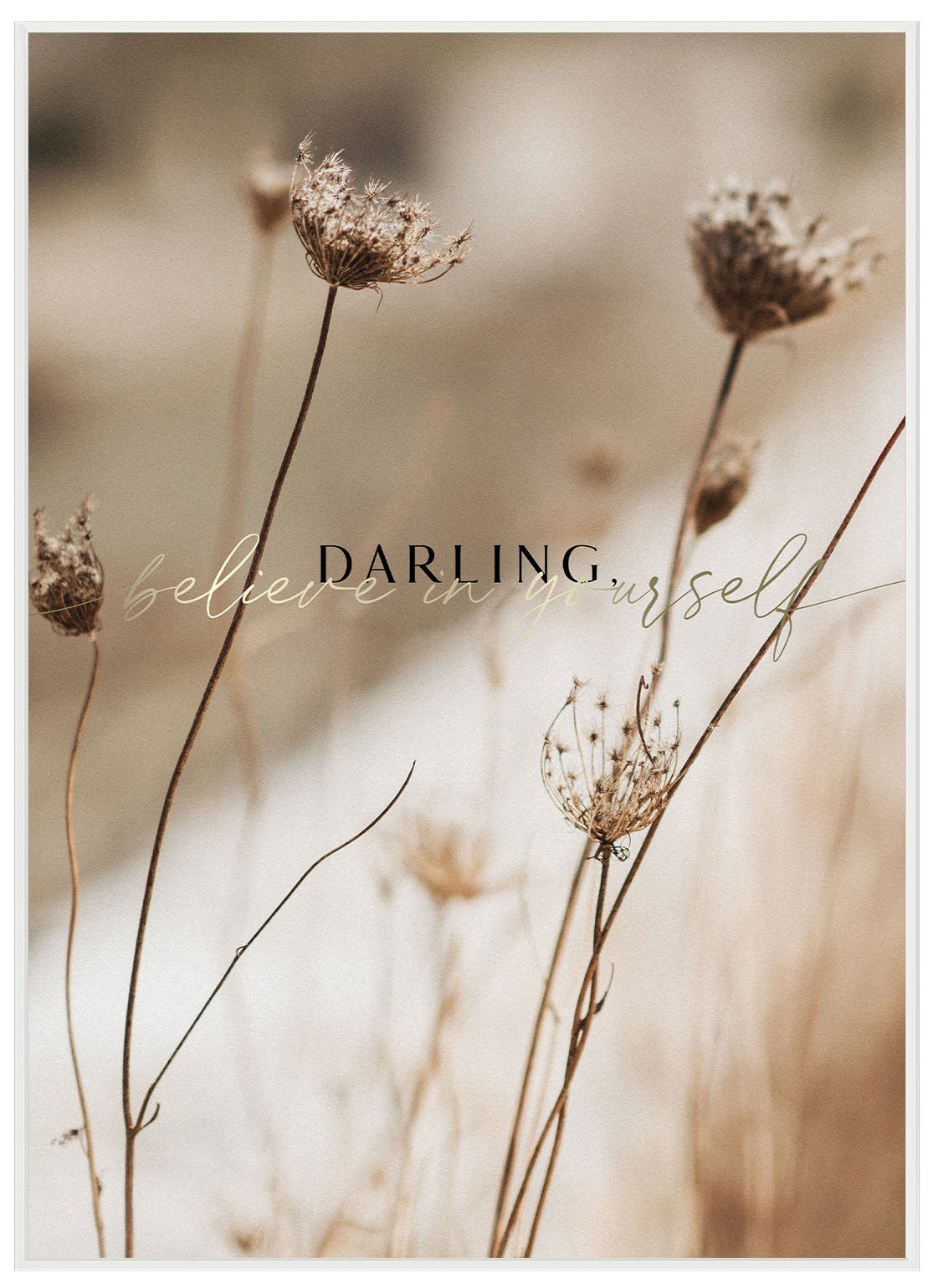 Darling - Avem