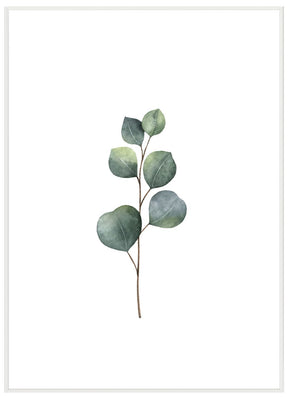 Eucalyptus - Avemfactory